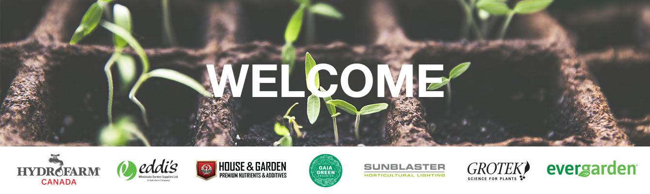 Welcome Banner